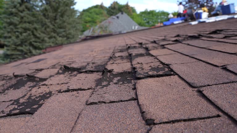 Reliable Pottstown, PA Roofing Services Solutions